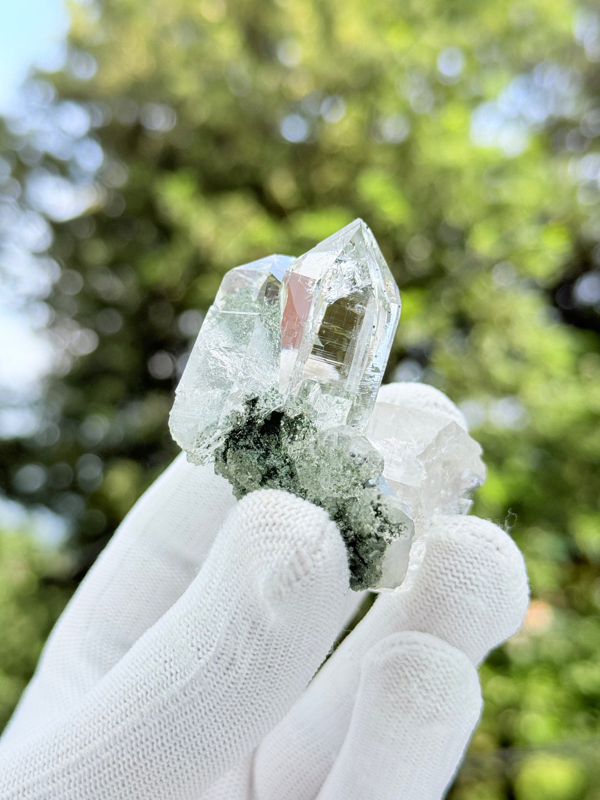 Clear Quartz With Chlorite