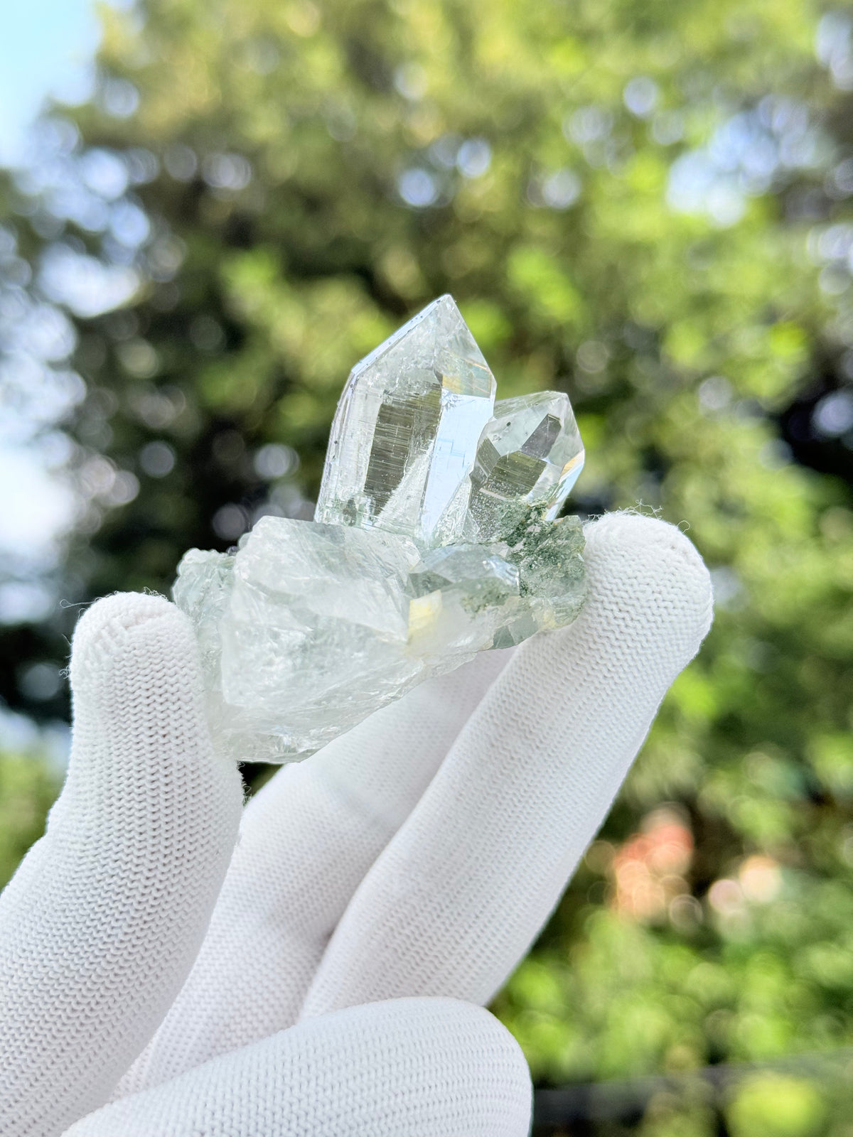 Clear Quartz With Chlorite