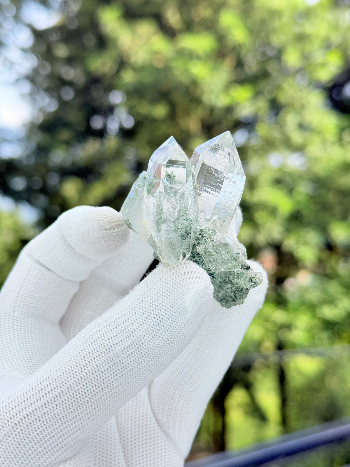 Clear Quartz With Chlorite