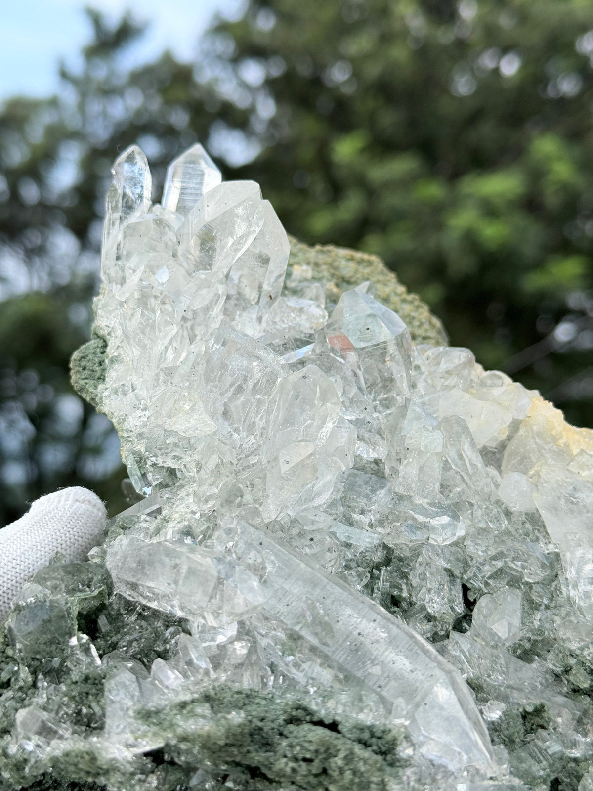 Himalayan chlorite cluster