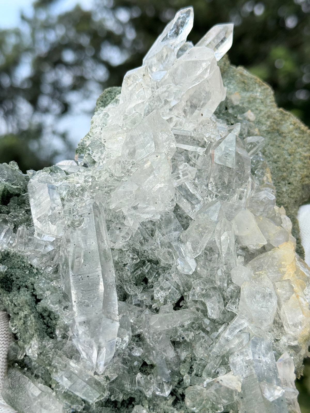 Himalayan chlorite cluster