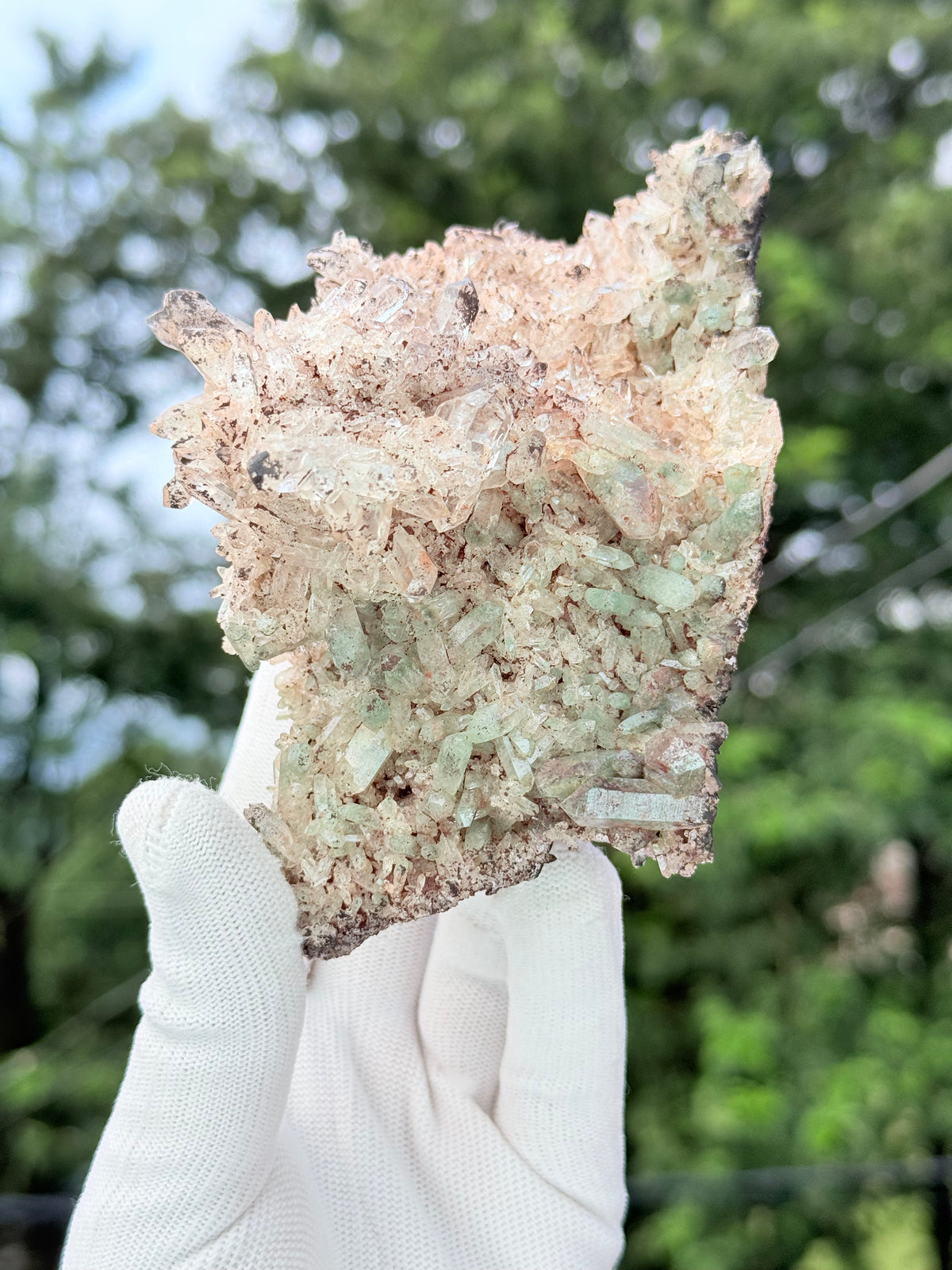 Chlorite With Pink Samadhi