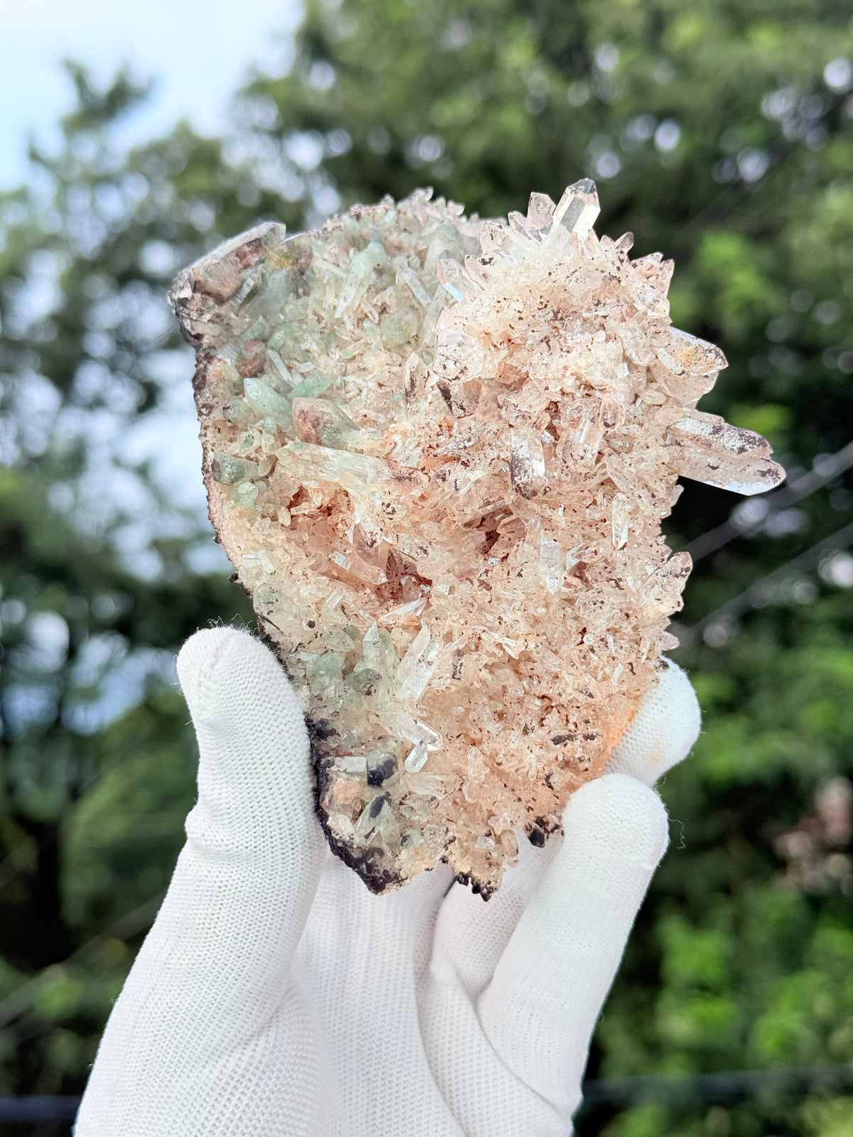 Chlorite With Pink Samadhi