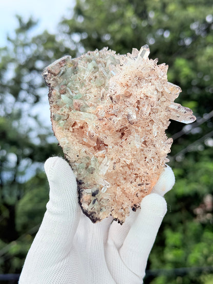 Chlorite With Pink Samadhi
