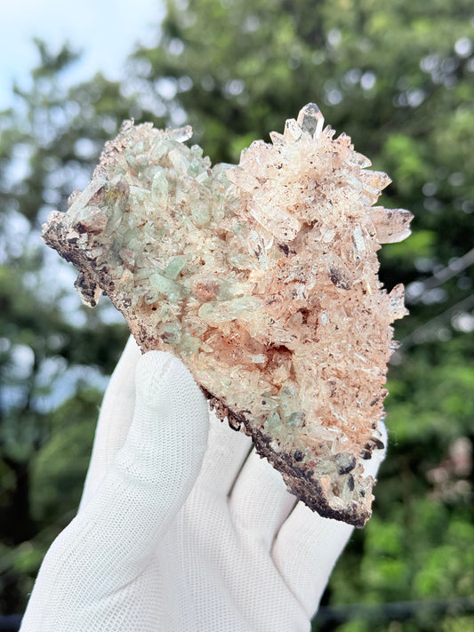 Chlorite With Pink Samadhi