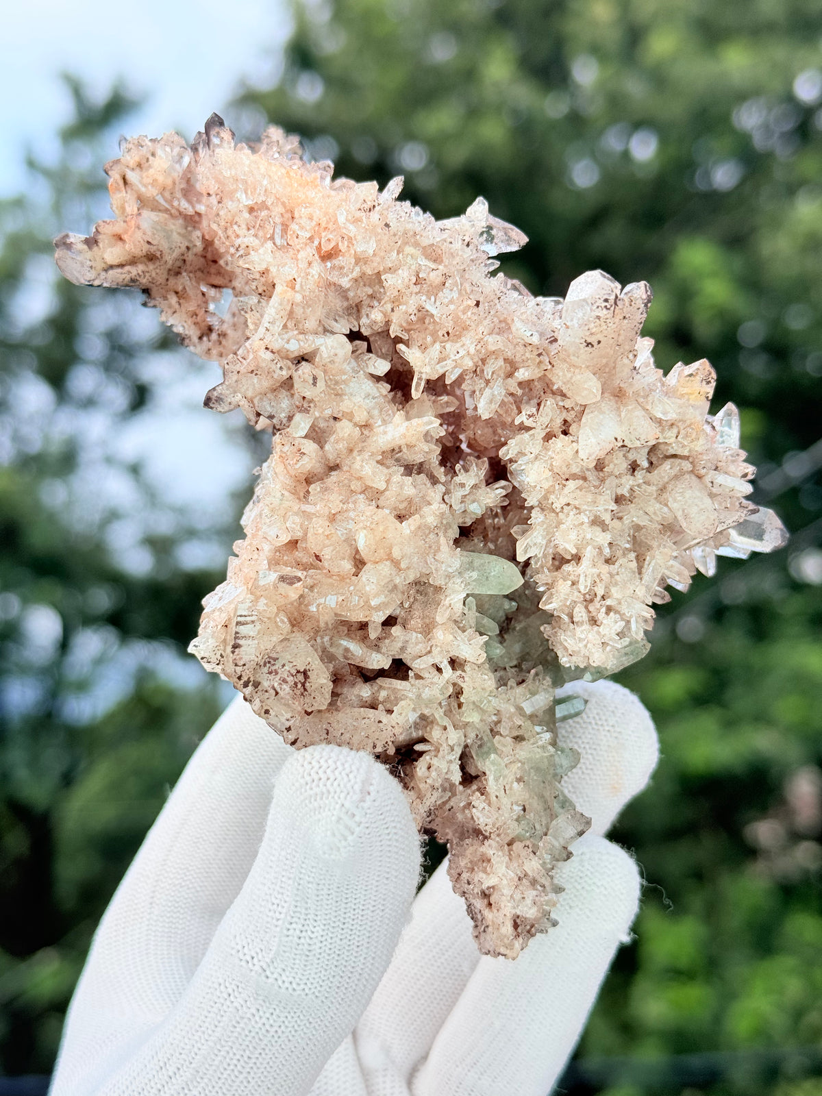 Chlorite With Pink Samadhi