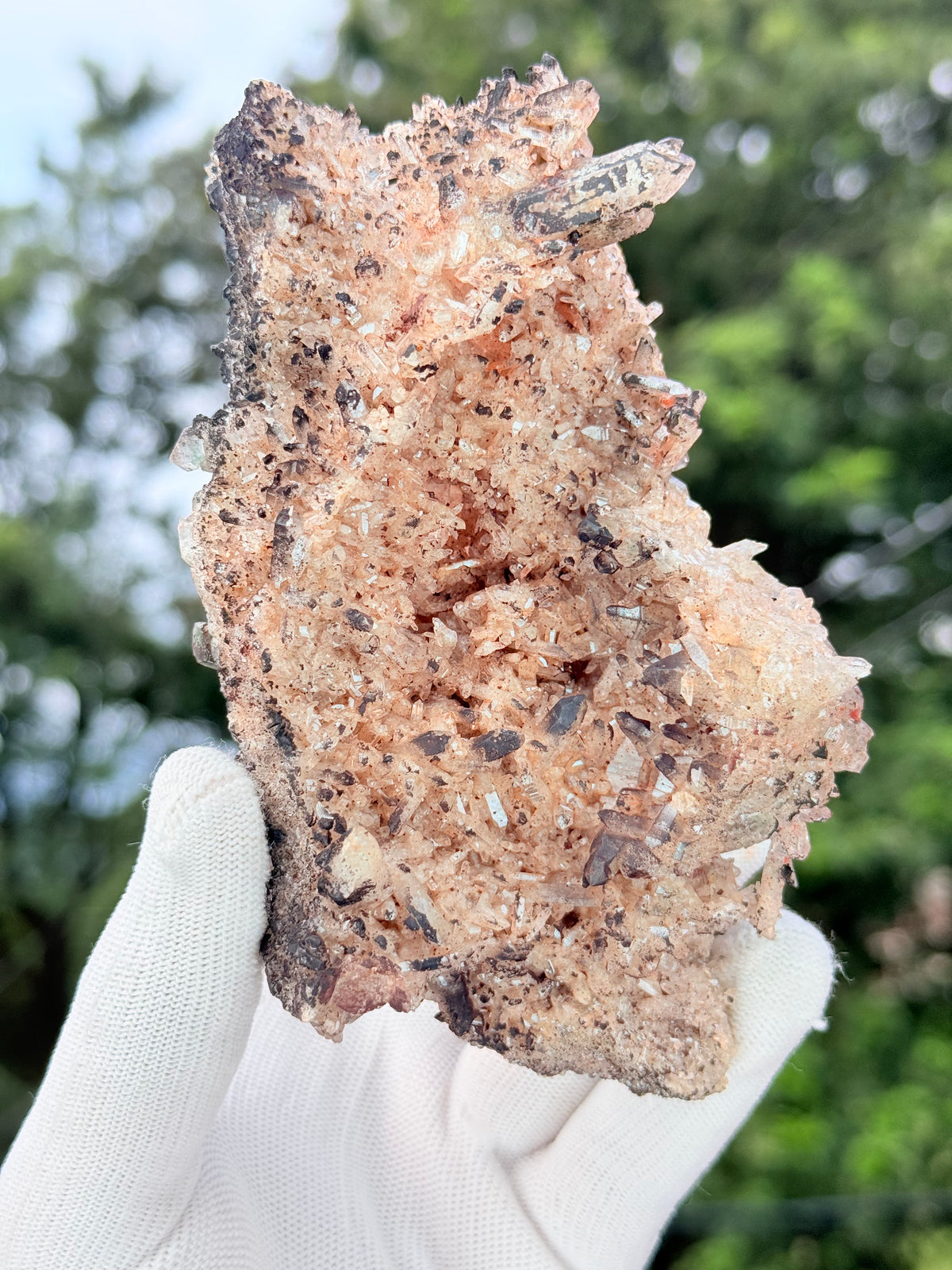Chlorite With Pink Samadhi