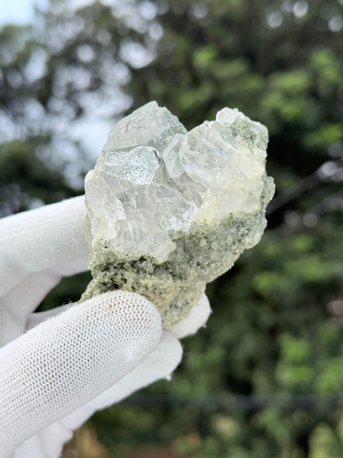 Hiamalayan clear quartz with chlorite inclusion