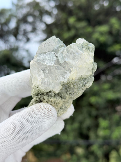 Hiamalayan clear quartz with chlorite inclusion