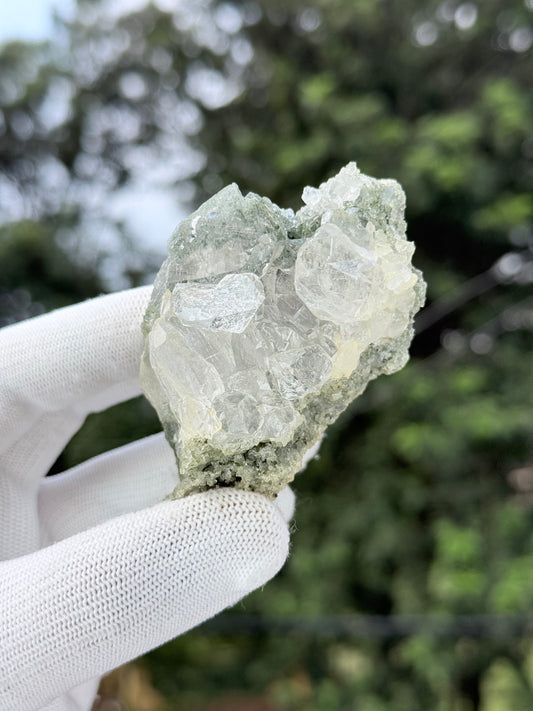 Hiamalayan clear quartz with chlorite inclusion