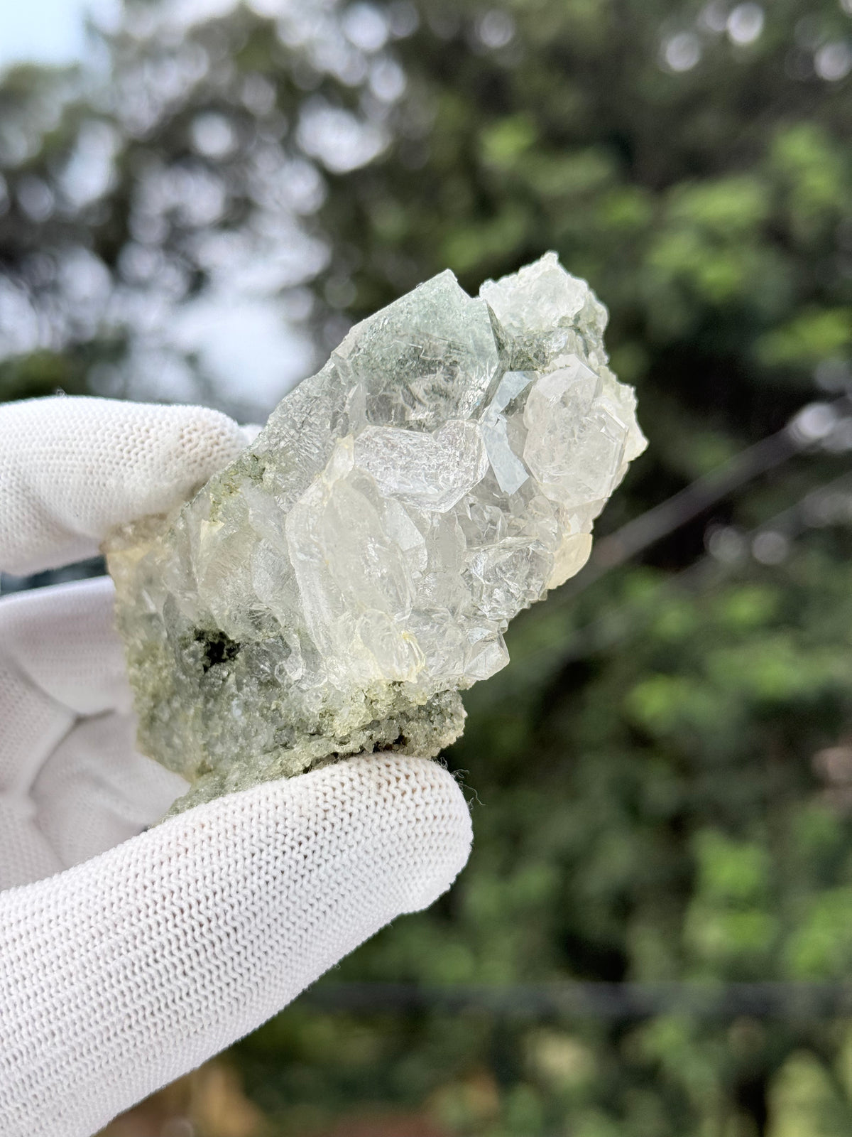 Hiamalayan clear quartz with chlorite inclusion