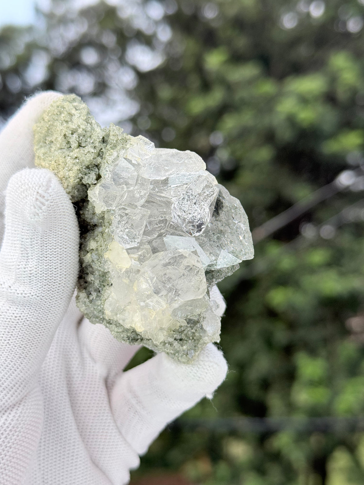 Hiamalayan clear quartz with chlorite inclusion