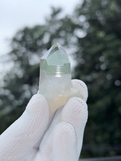 Himalayan Green Phantom