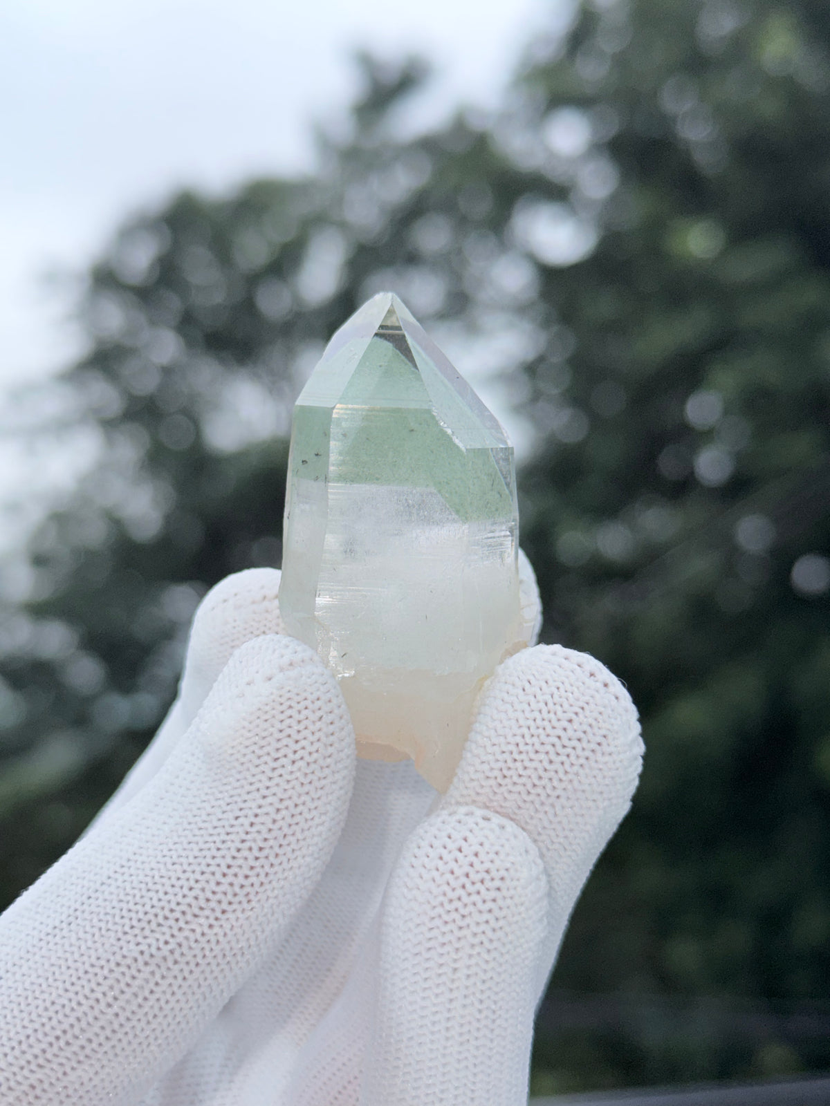 Himalayan Green Phantom