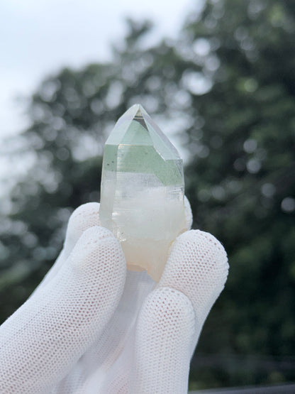 Himalayan Green Phantom