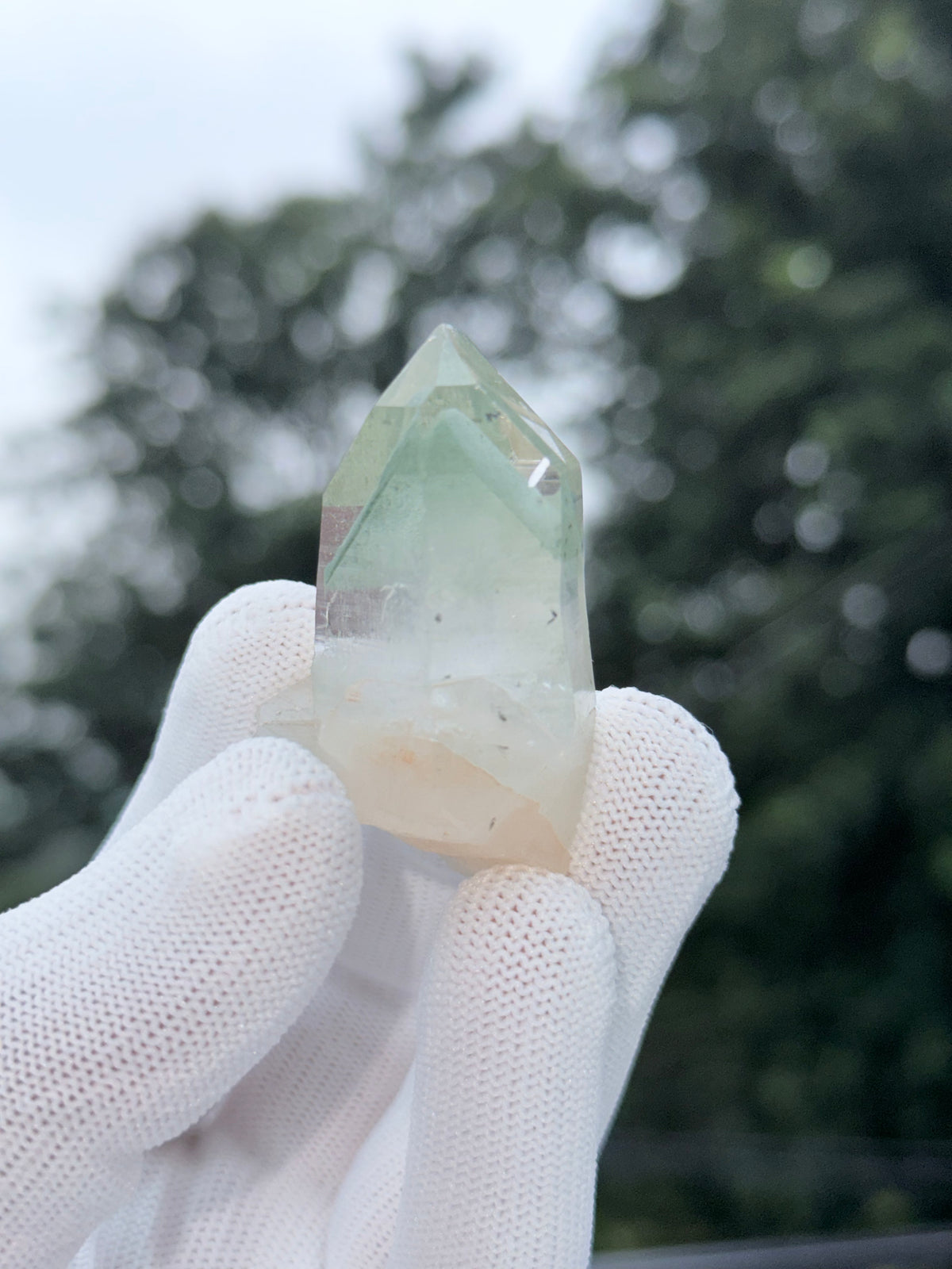 Himalayan Green Phantom