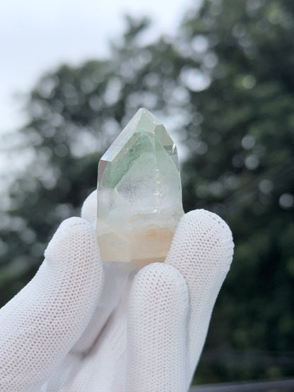 Himalayan Green Phantom
