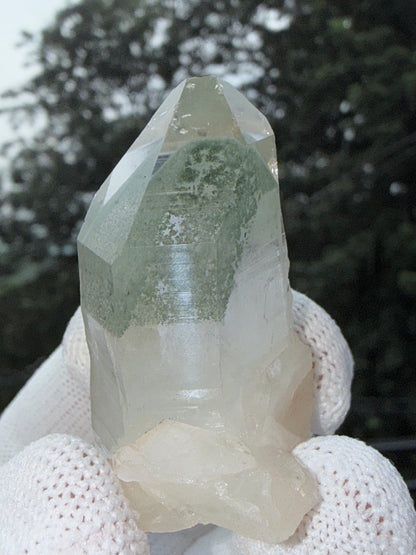 Himalayan Green Phantom