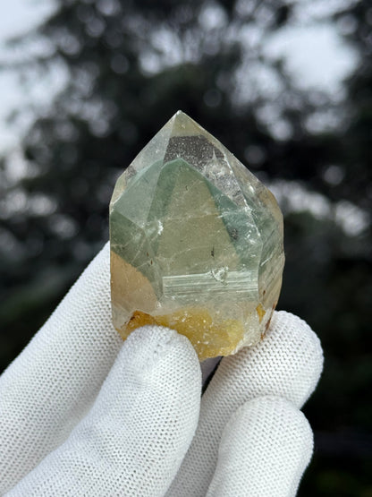 Himalayn Green Phantom