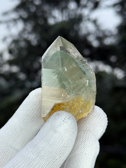 Himalayn Green Phantom