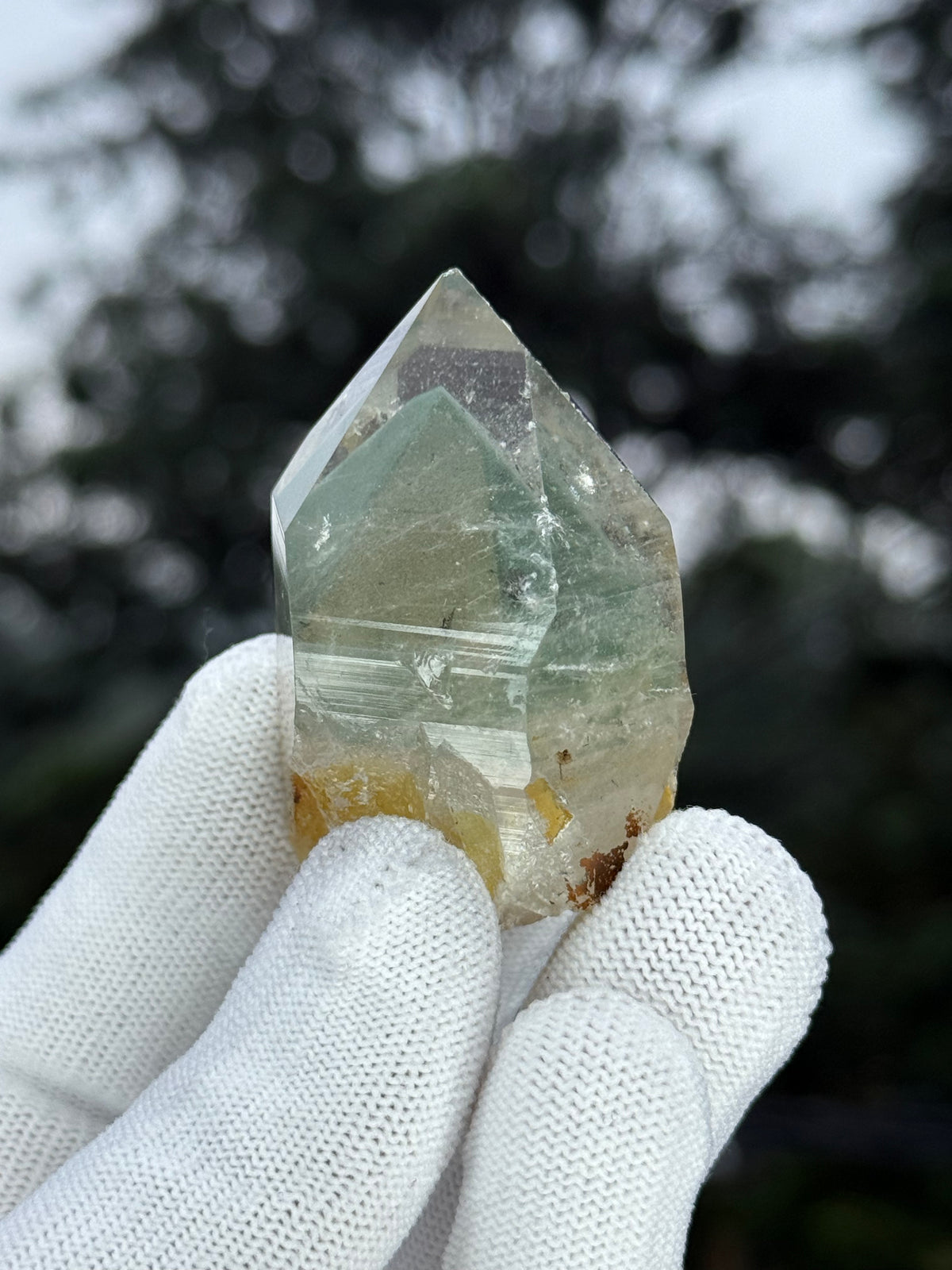 Himalayn Green Phantom