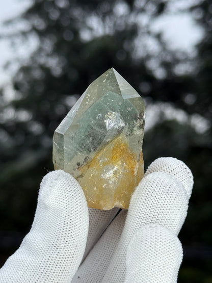 Himalayn Green Phantom