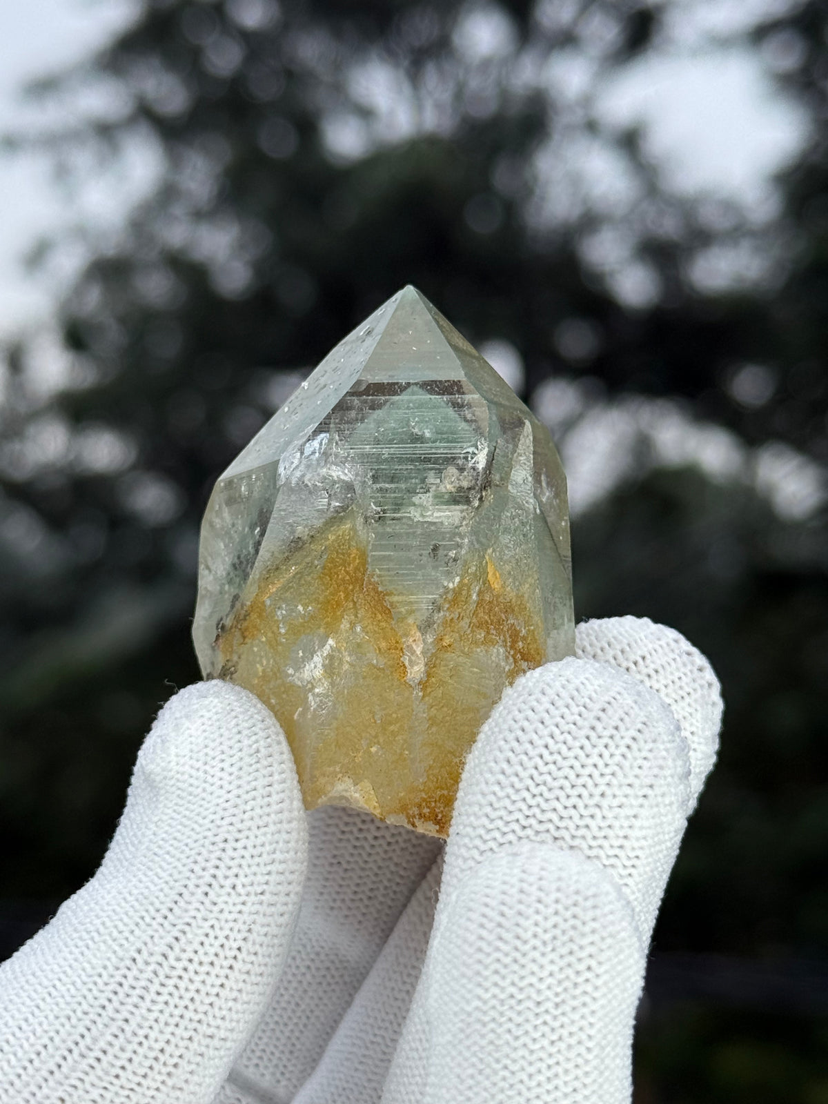 Himalayn Green Phantom