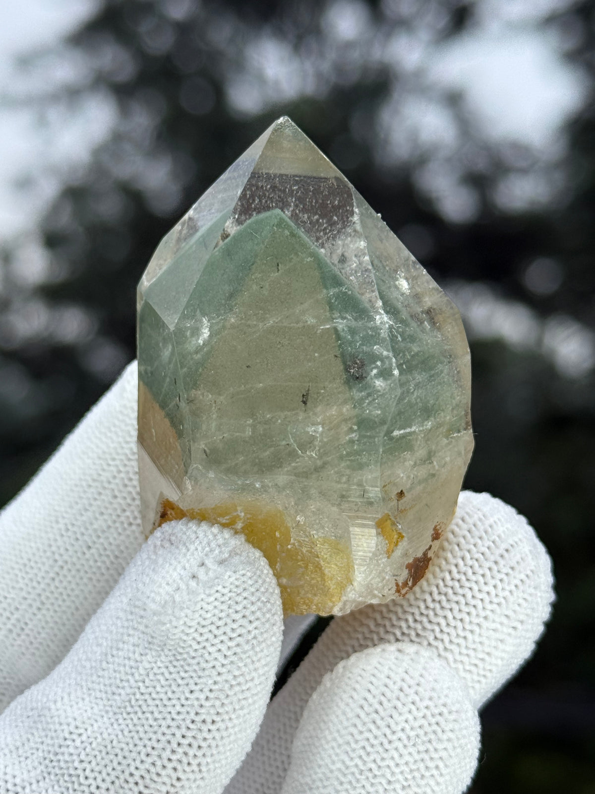 Himalayn Green Phantom