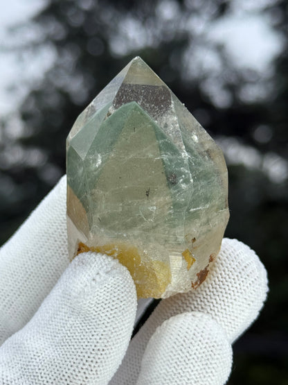 Himalayn Green Phantom