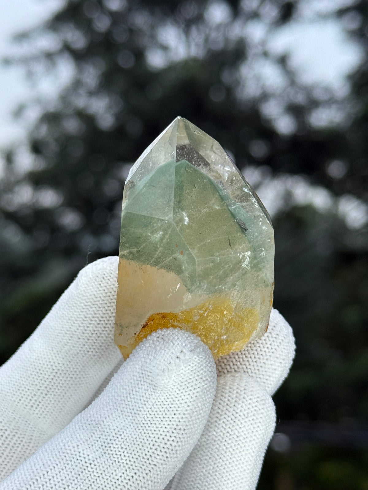 Himalayn Green Phantom