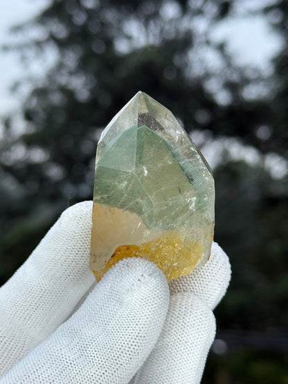 Himalayn Green Phantom
