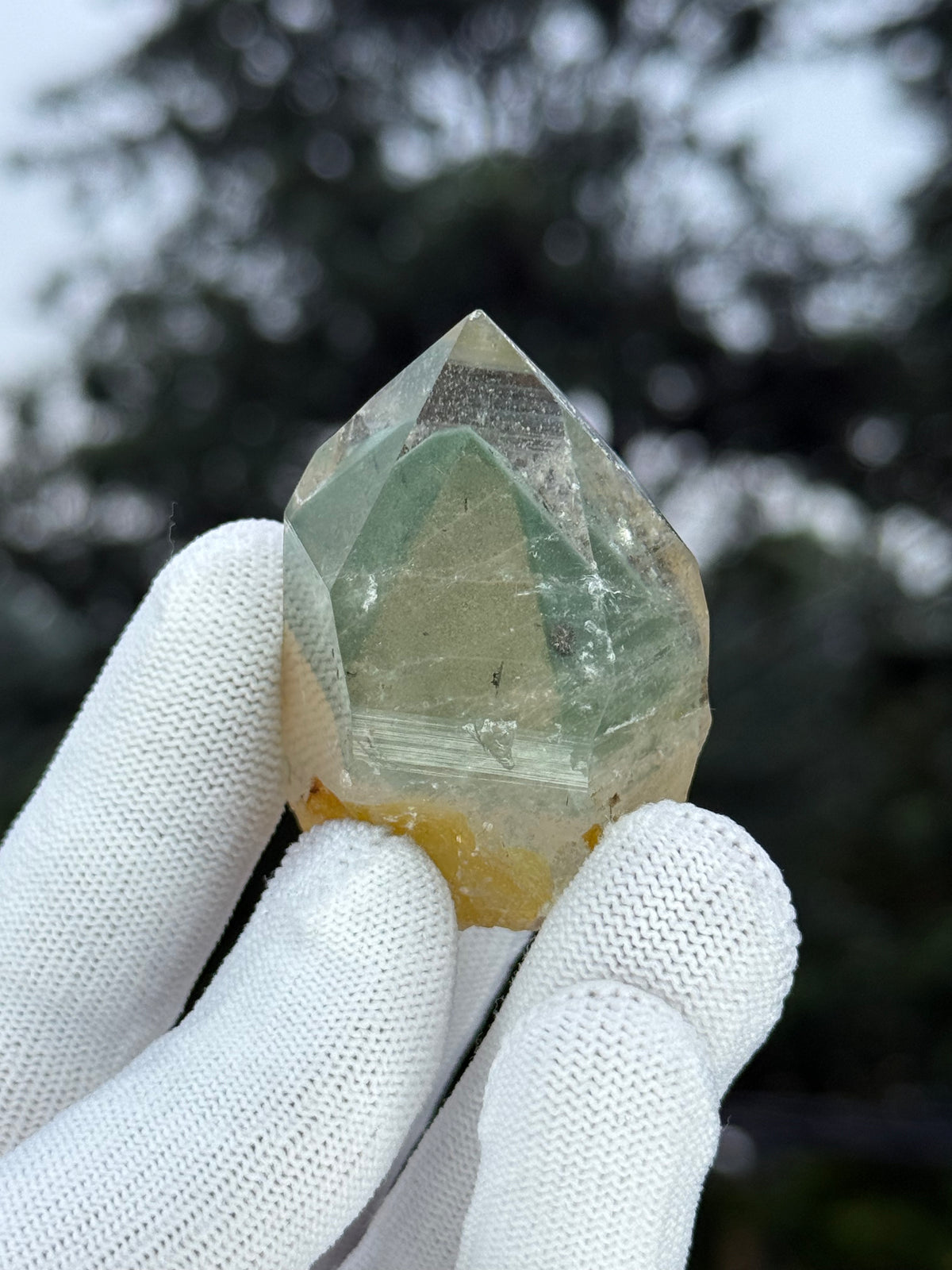 Himalayn Green Phantom