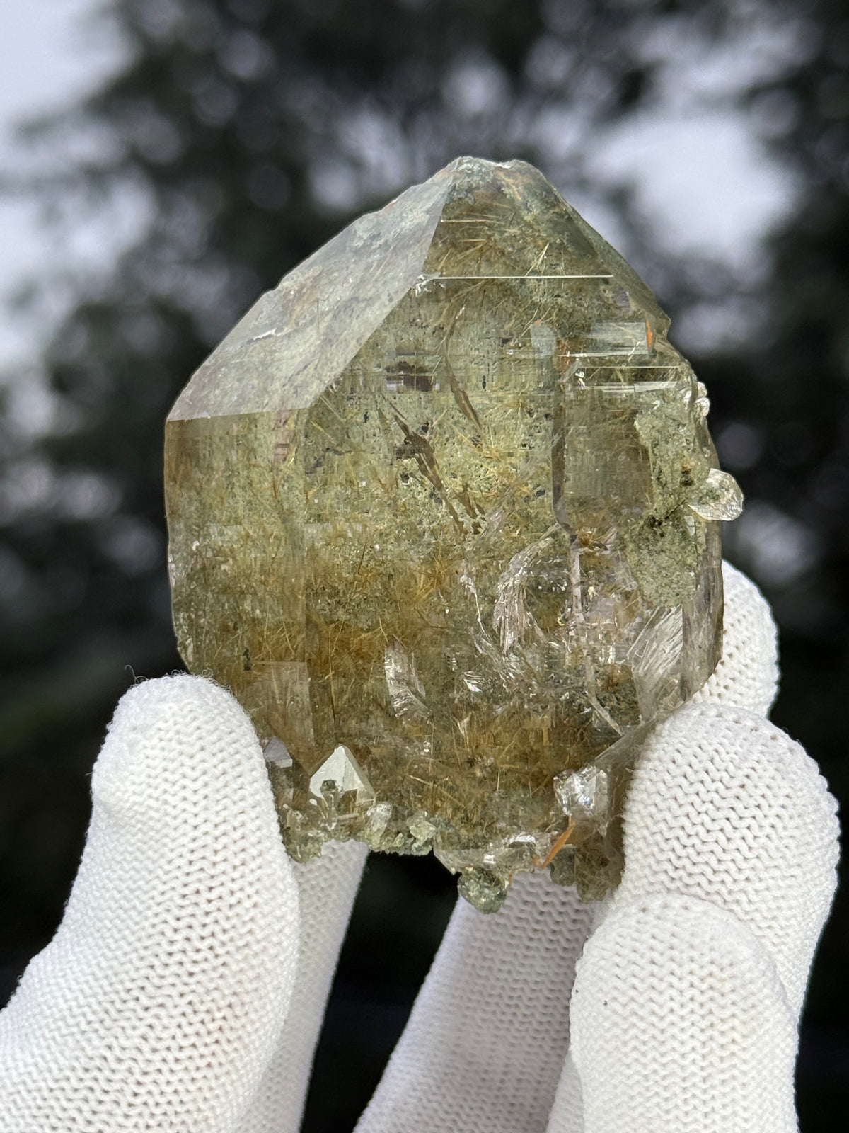 Himalayan Rutiled Quartz With Cathedral And Chlorite