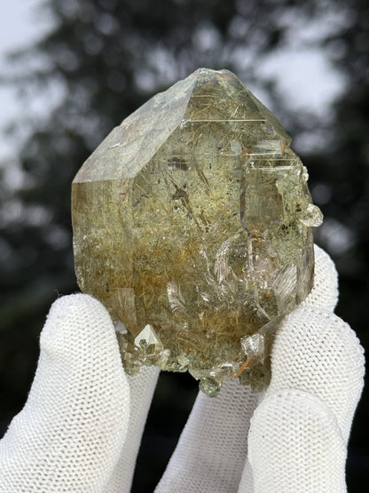 Himalayan Rutiled Quartz With Cathedral And Chlorite