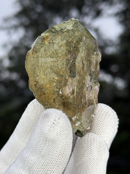 Himalayan Rutiled Quartz With Cathedral And Chlorite
