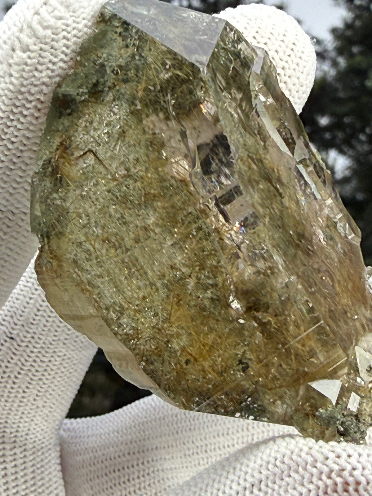 Himalayan Rutiled Quartz With Cathedral And Chlorite
