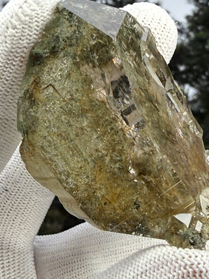Himalayan Rutiled Quartz With Cathedral And Chlorite