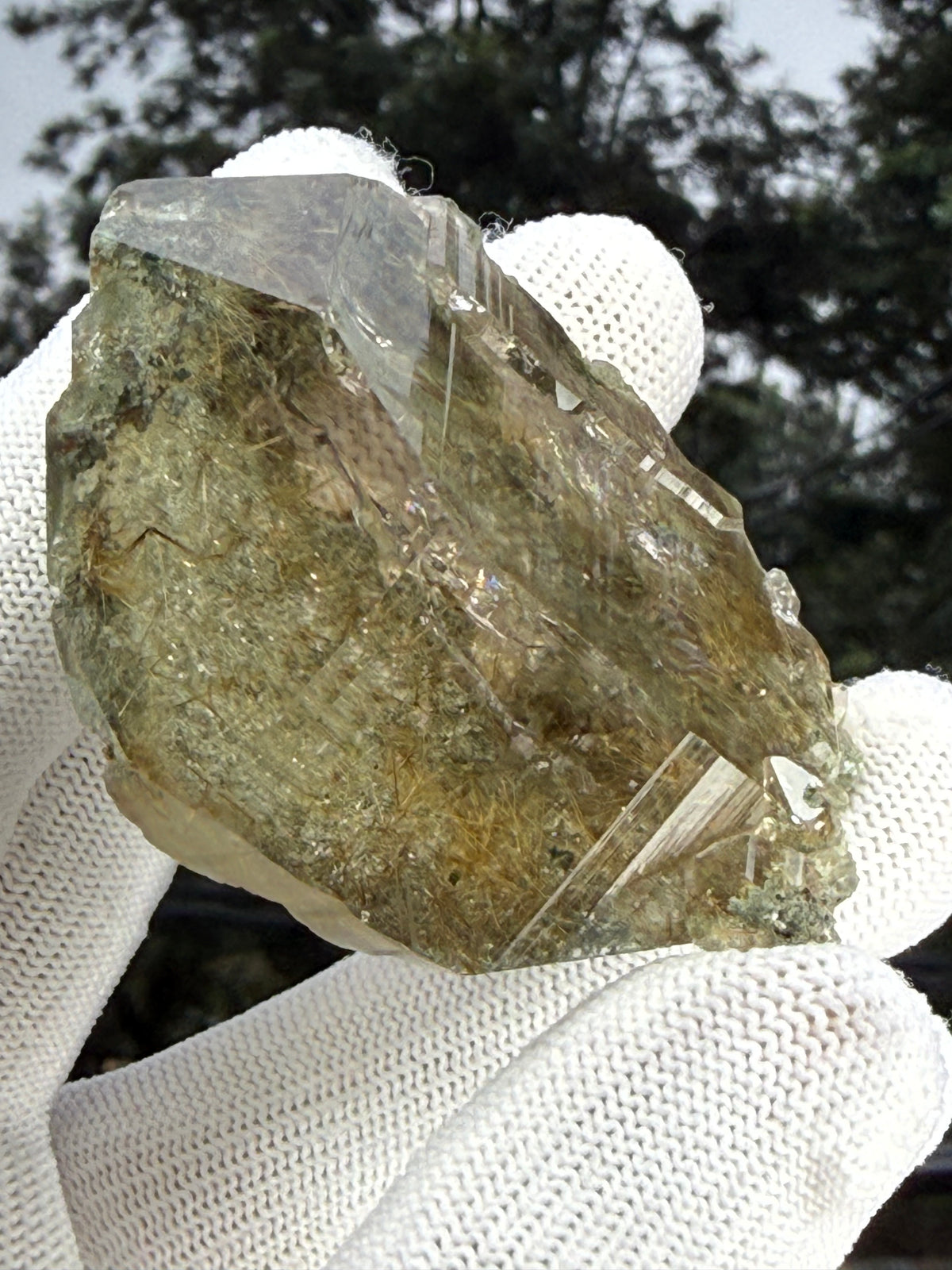 Himalayan Rutiled Quartz With Cathedral And Chlorite