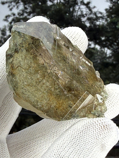 Himalayan Rutiled Quartz With Cathedral And Chlorite