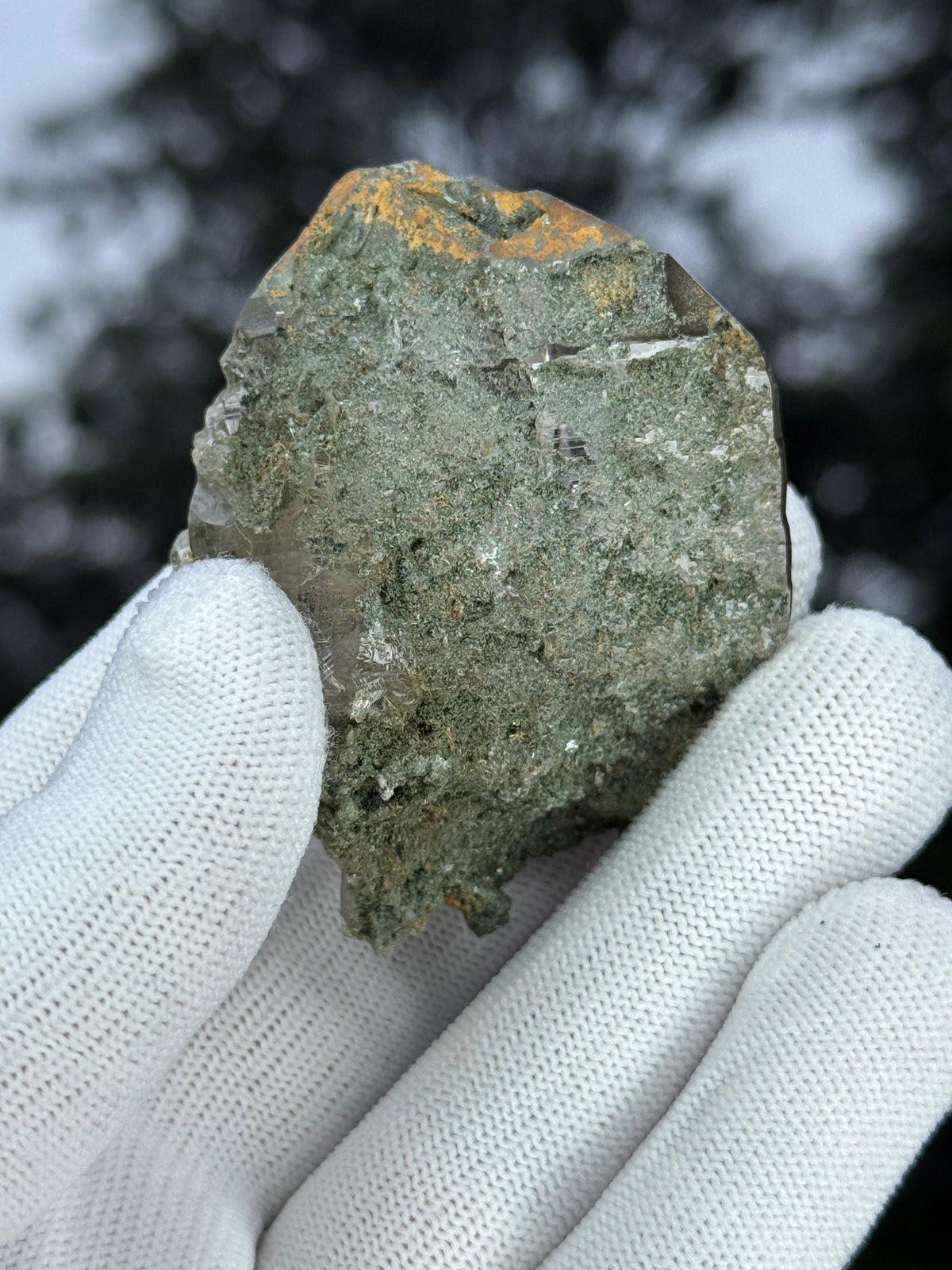 Himalayan Rutiled Quartz With Cathedral And Chlorite