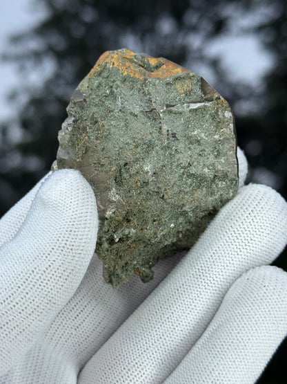 Himalayan Rutiled Quartz With Cathedral And Chlorite