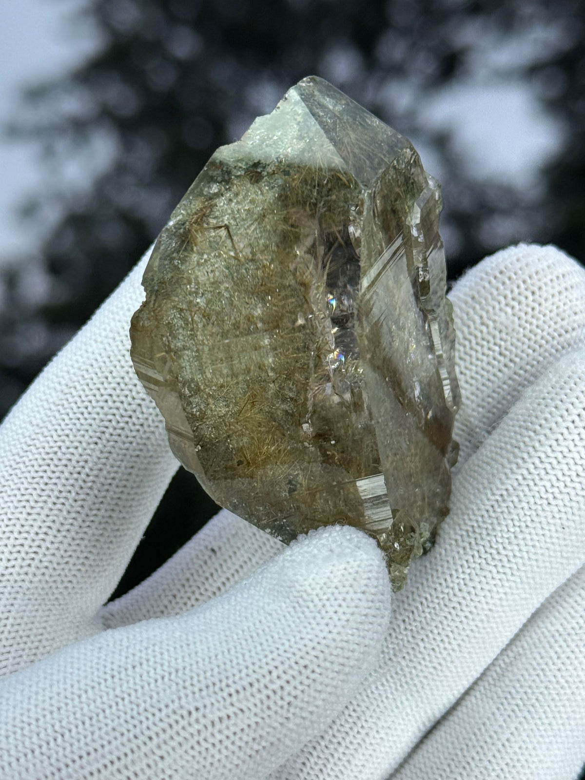 Himalayan Rutiled Quartz With Cathedral And Chlorite