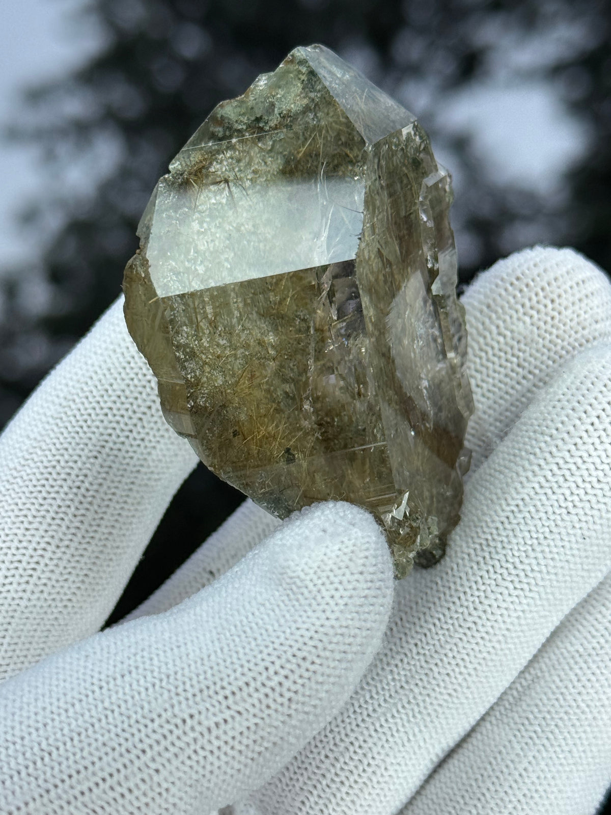 Himalayan Rutiled Quartz With Cathedral And Chlorite