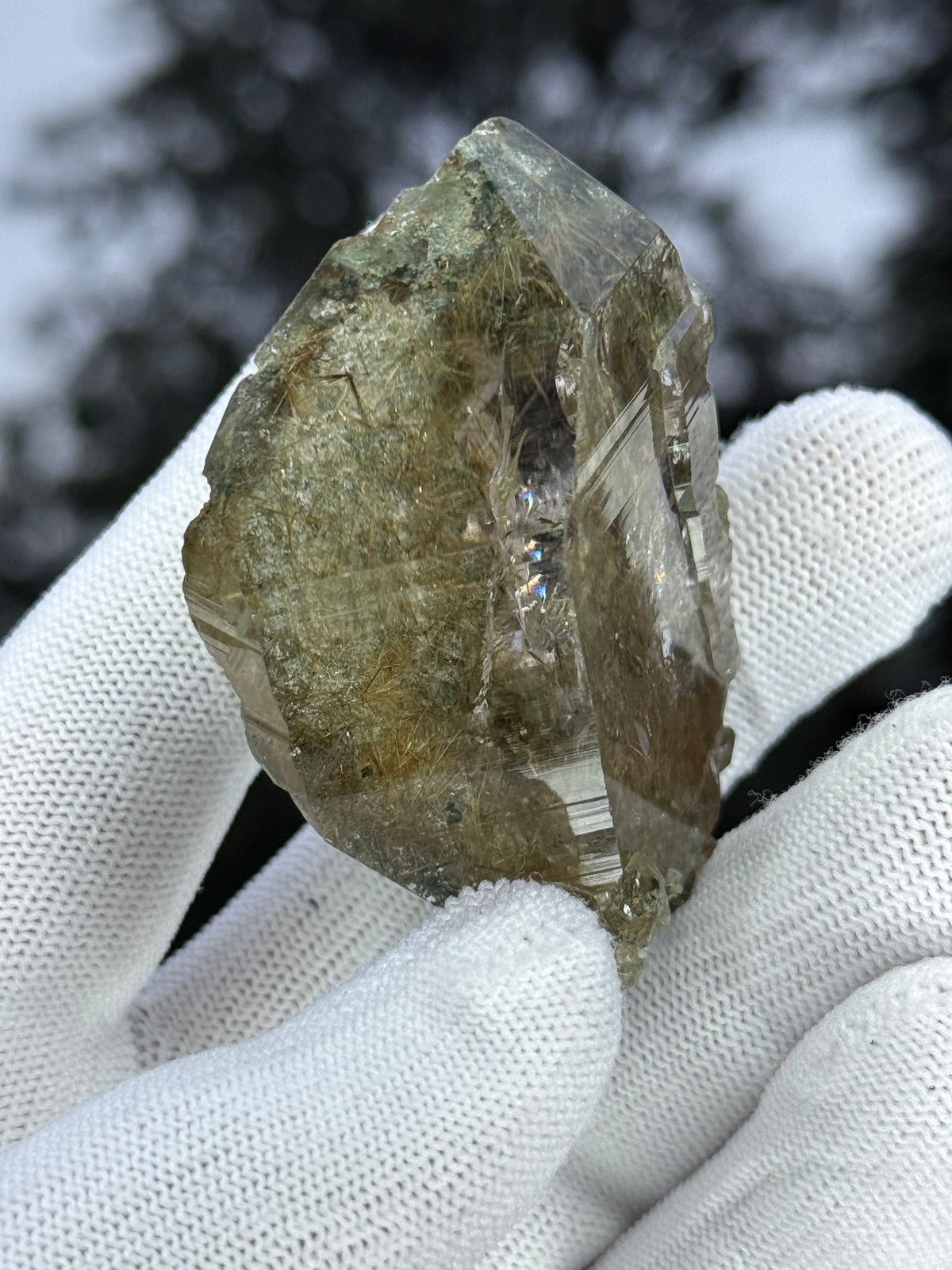 Himalayan Rutiled Quartz With Cathedral And Chlorite