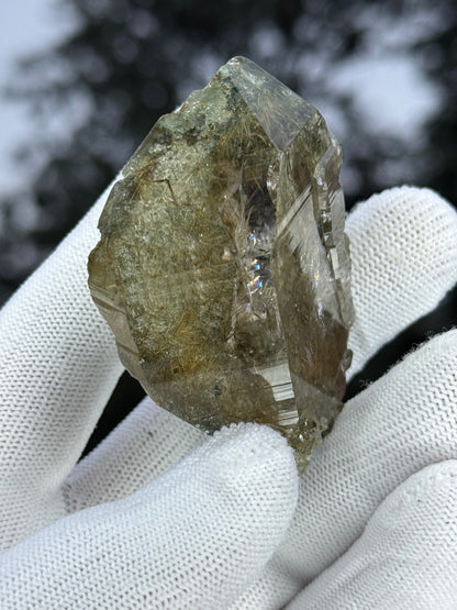 Himalayan Rutiled Quartz With Cathedral And Chlorite