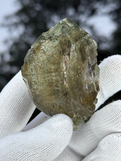 Himalayan Rutiled Quartz With Cathedral And Chlorite