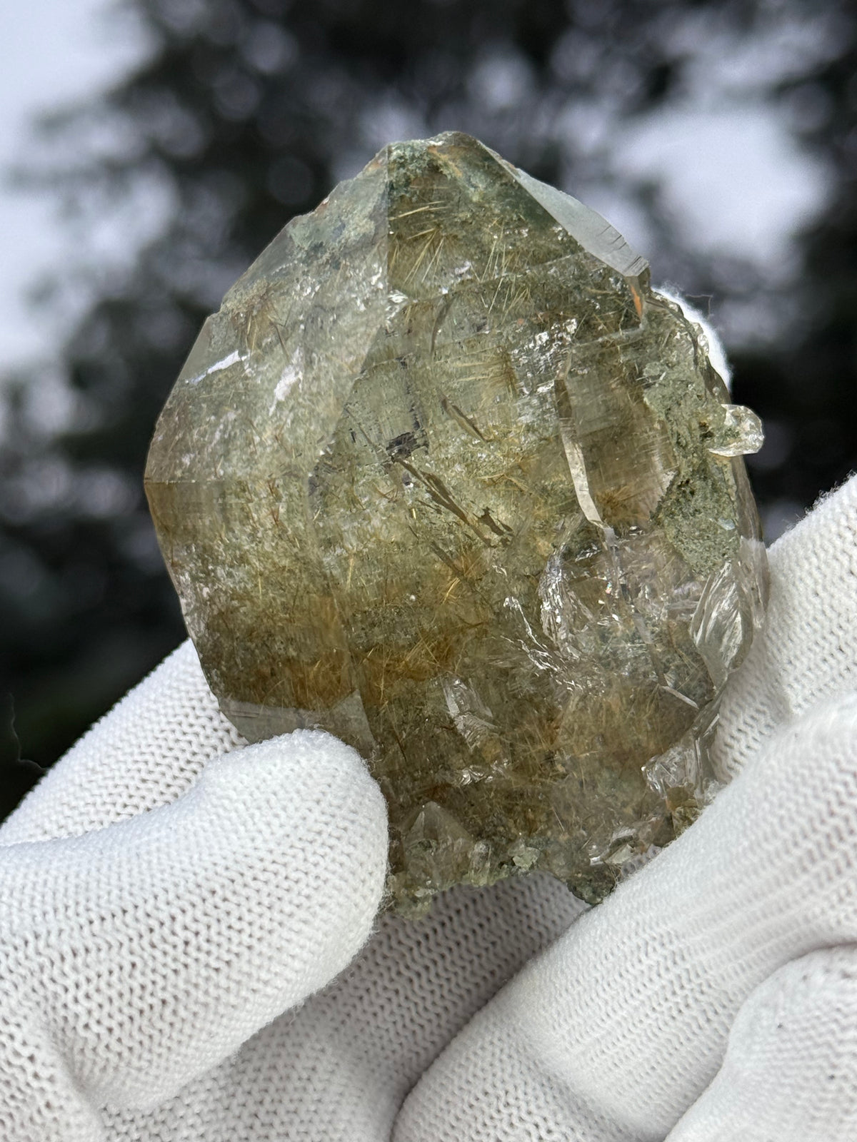 Himalayan Rutiled Quartz With Cathedral And Chlorite
