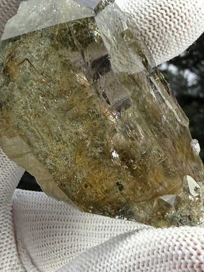 Himalayan Rutiled Quartz With Cathedral And Chlorite