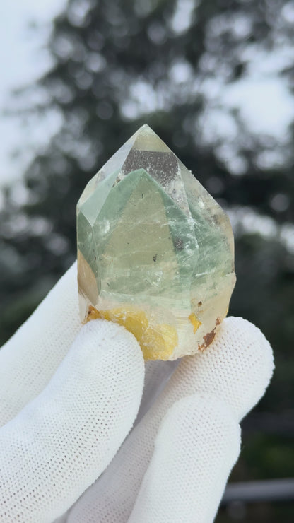 Himalayn Green Phantom