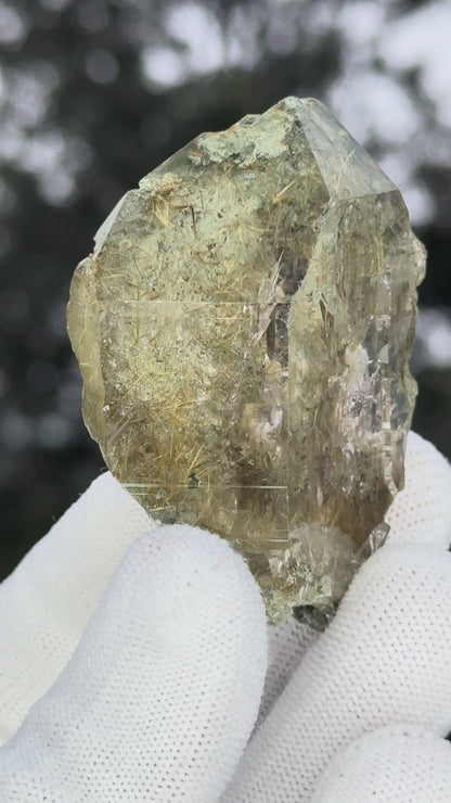 Himalayan Rutiled Quartz With Cathedral And Chlorite